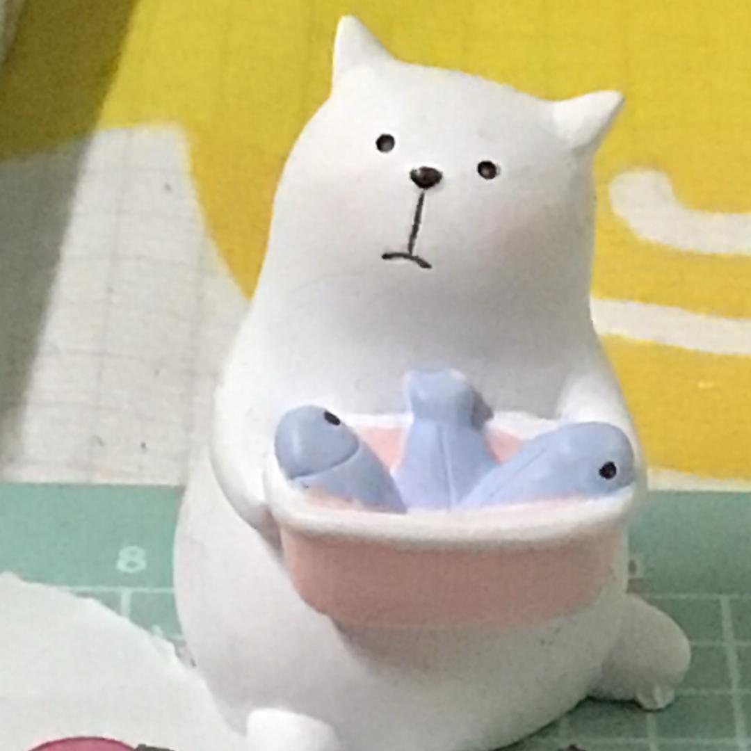 小小柔女装👚