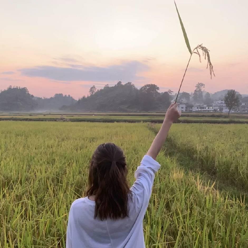 溜白菜
