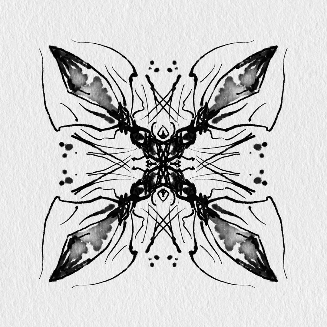 Ant Heart 蚂蚁心脏