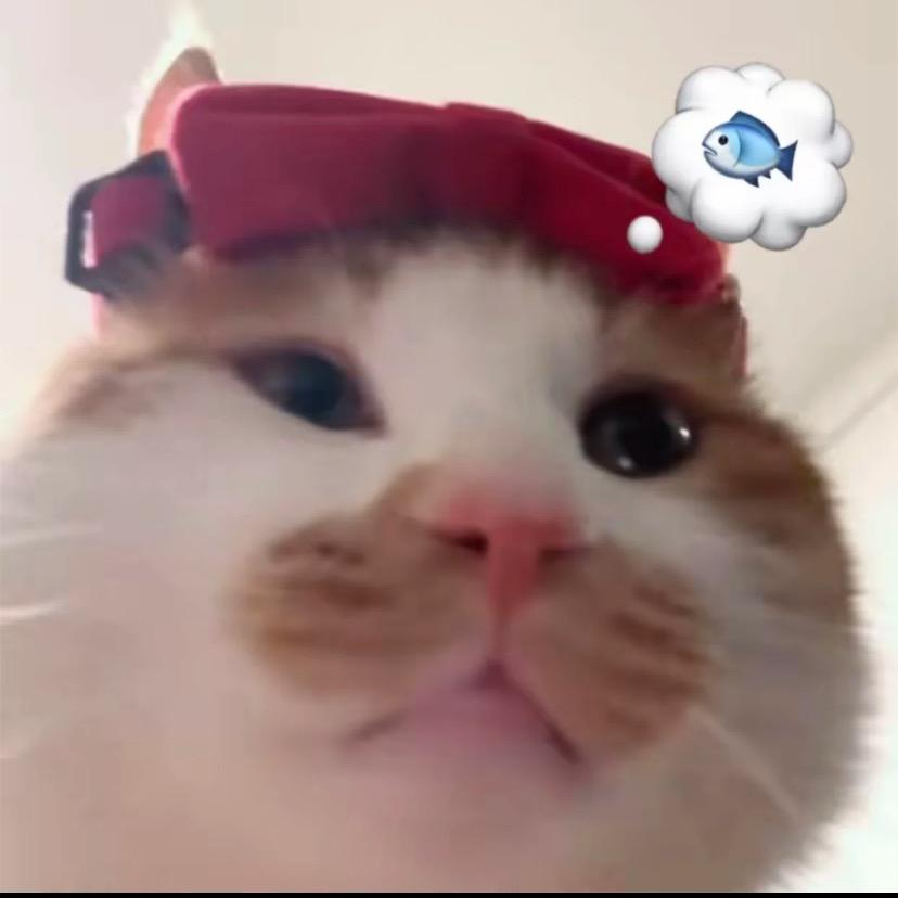 P.