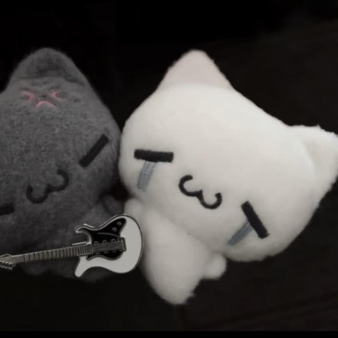 短腿猫