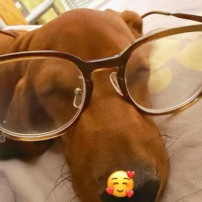 吉吉爱吃不难拿