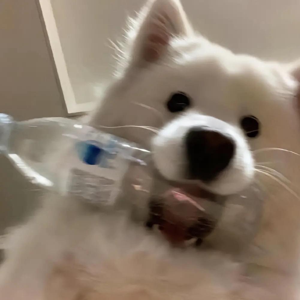 梦想185