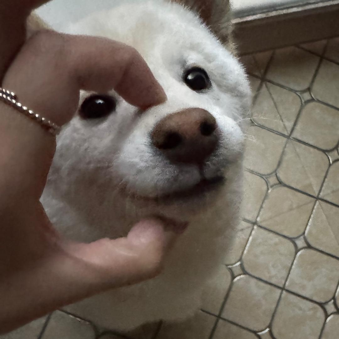 皮卡丘的摇摇车