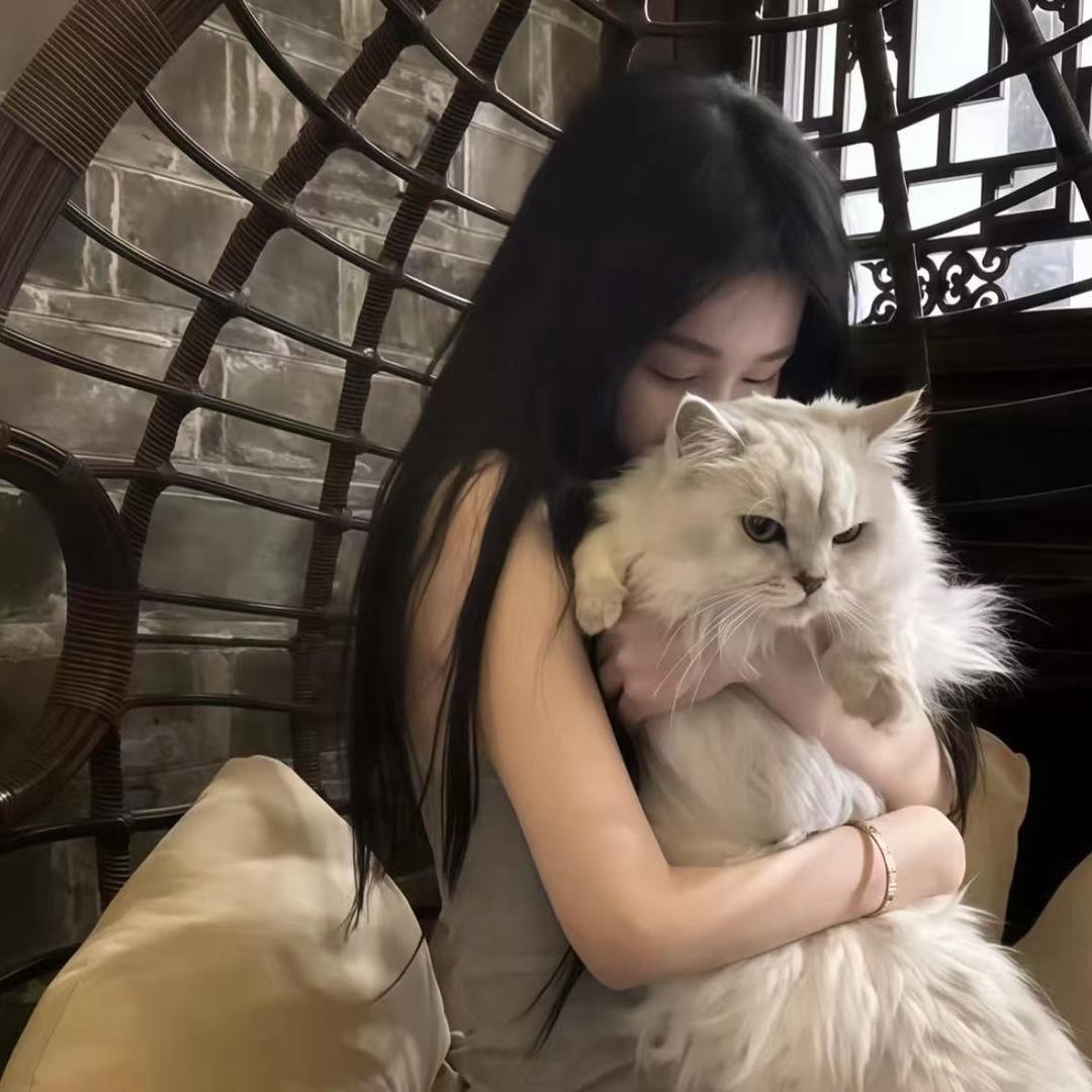 听说你喜欢猫.