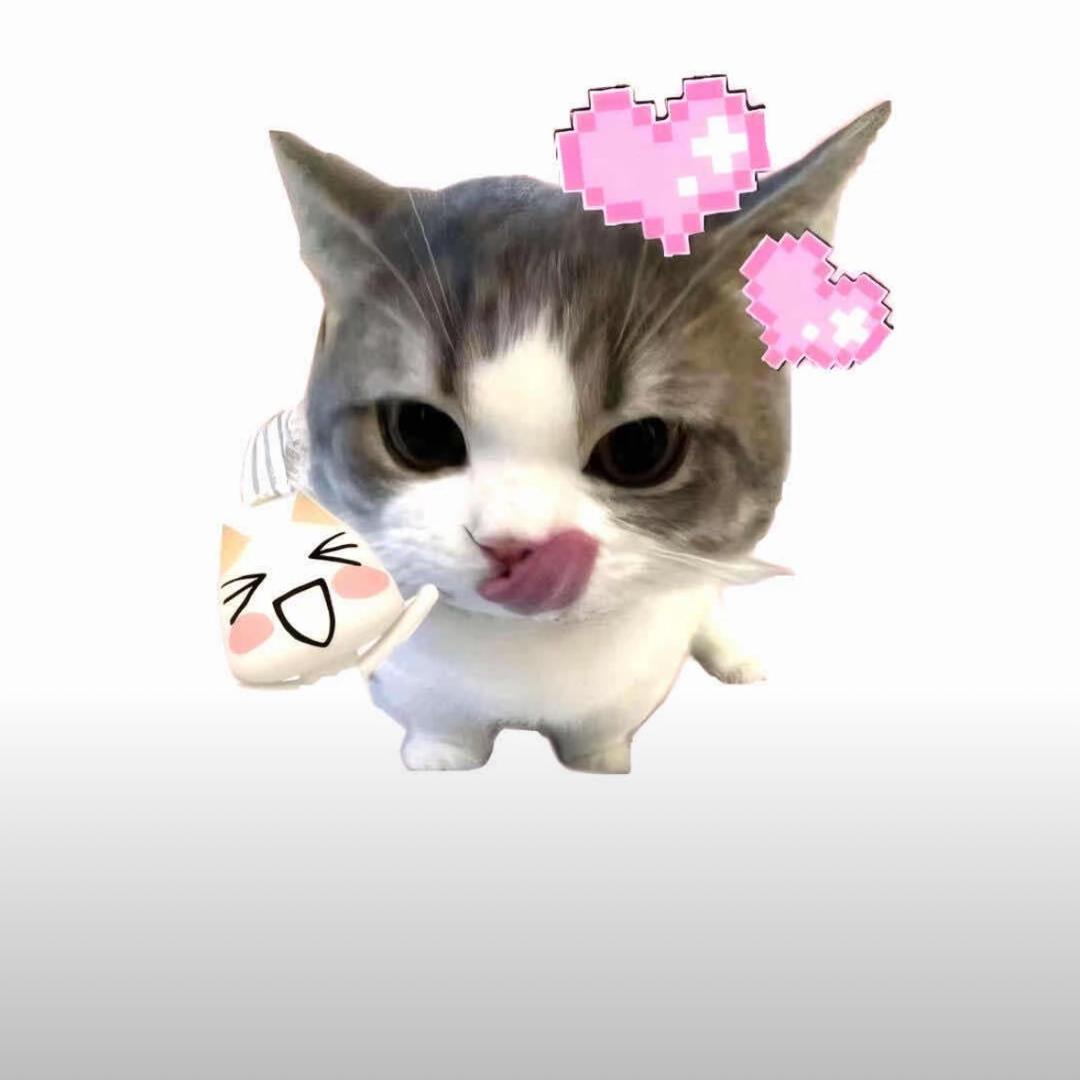 穿黑丝的性感母蟑螂（见过薛之谦版）