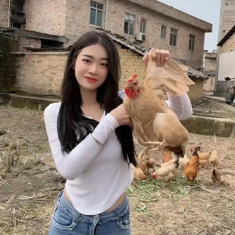 阿妹养鸡🐔