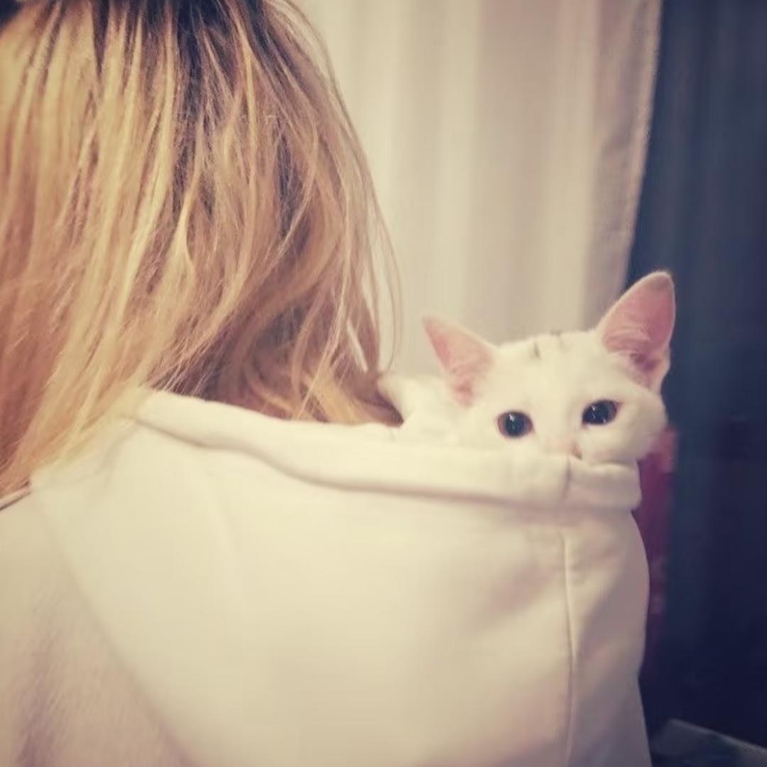 综上所述达不到目的就翻脸