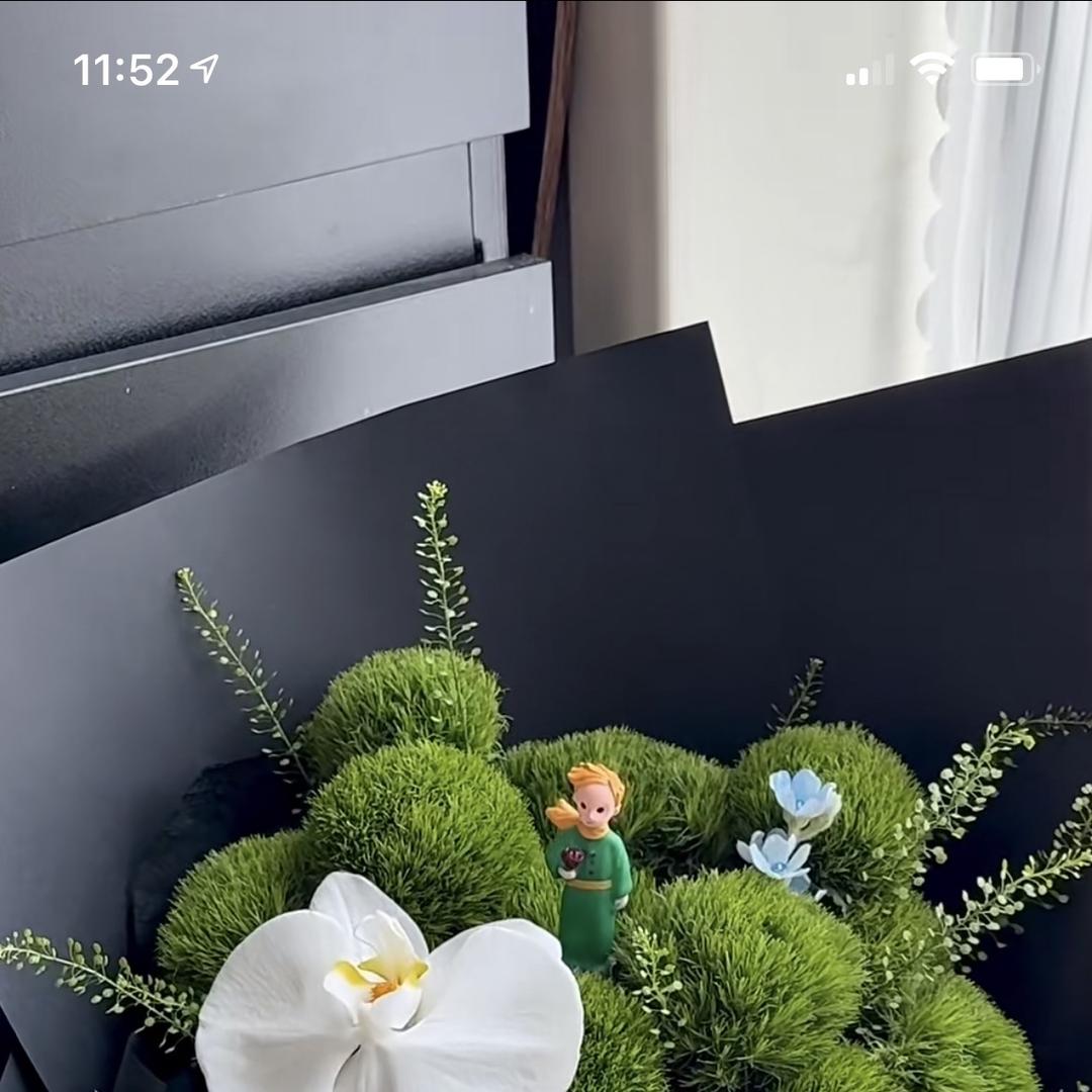 包哥说花