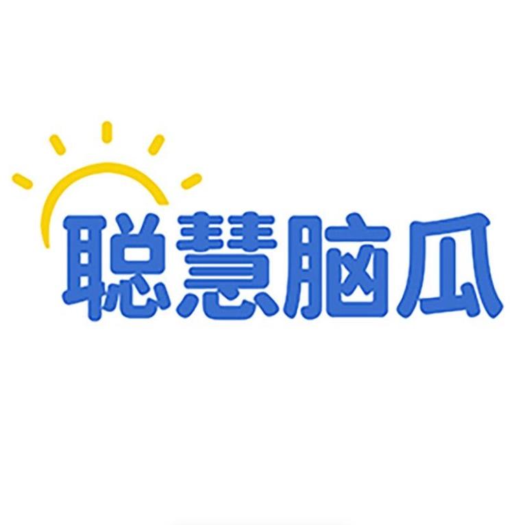 聪慧脑瓜官方旗舰店
