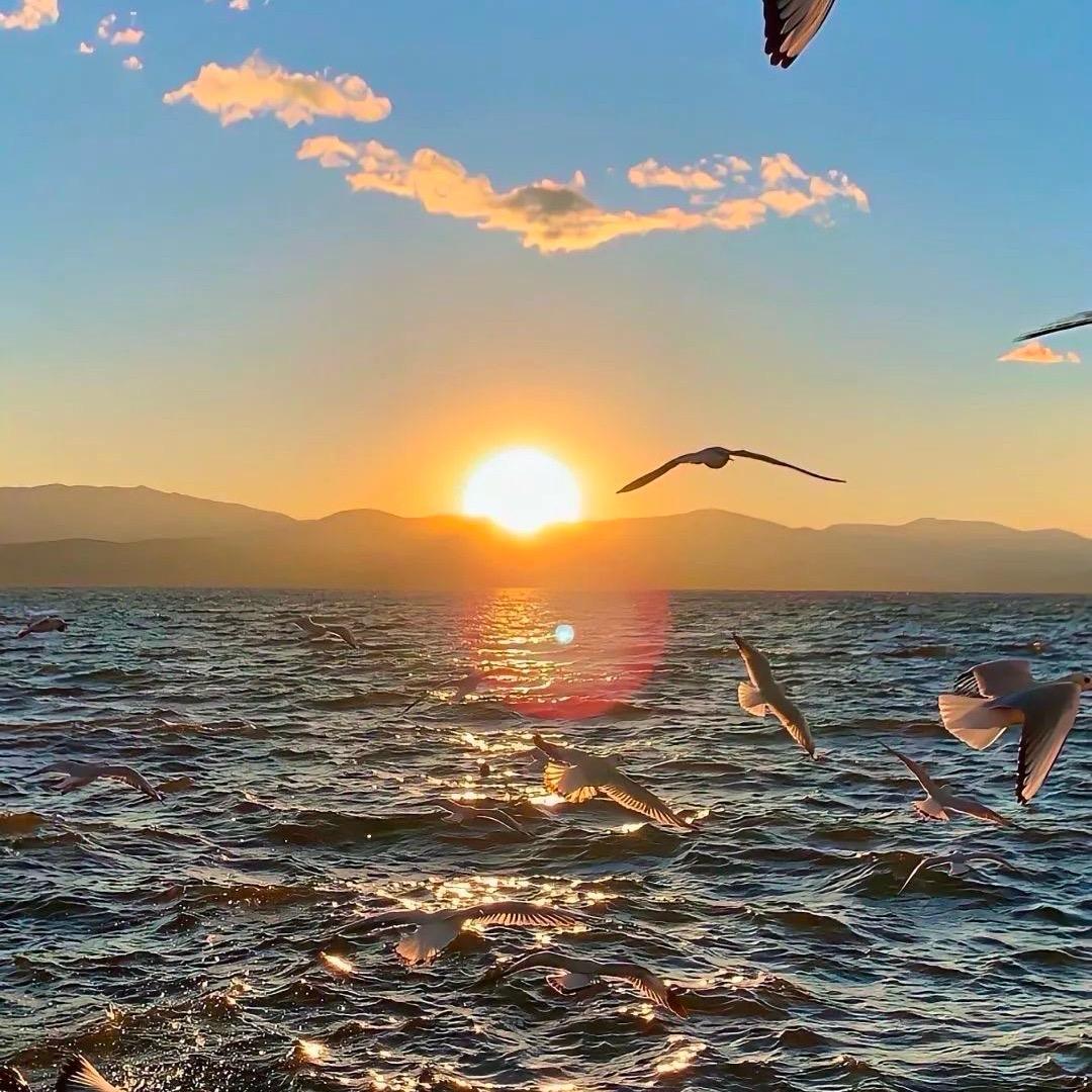 吹吹人间发财风🌷