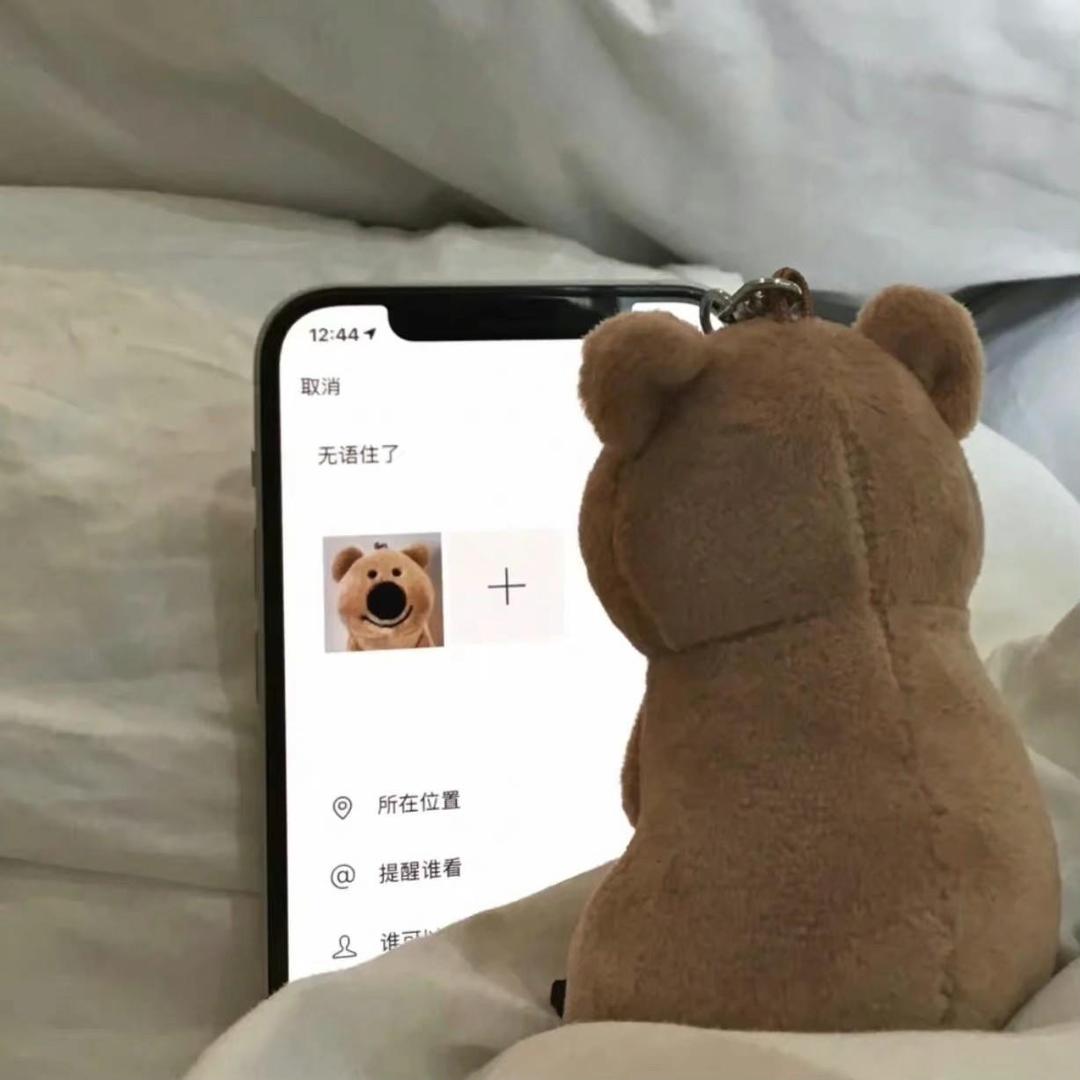 爱摸鱼的卡卡布鲁斯