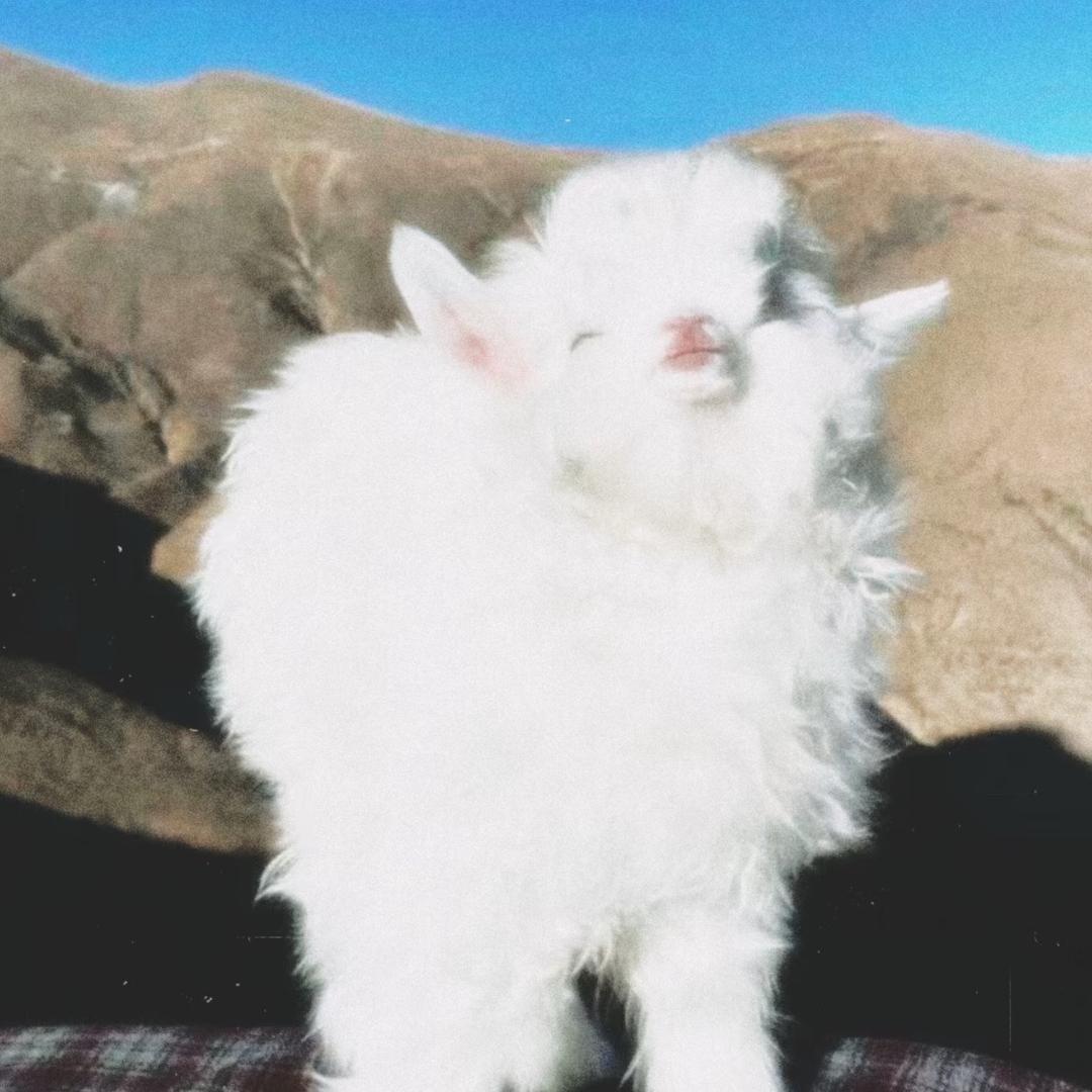 安安（暗区突围）