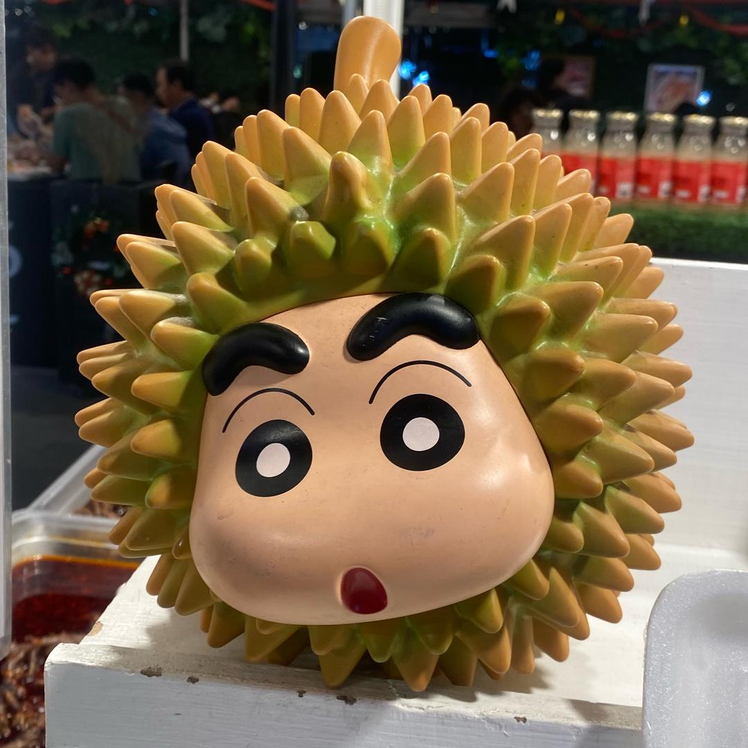 懂懂环球旅行推荐官