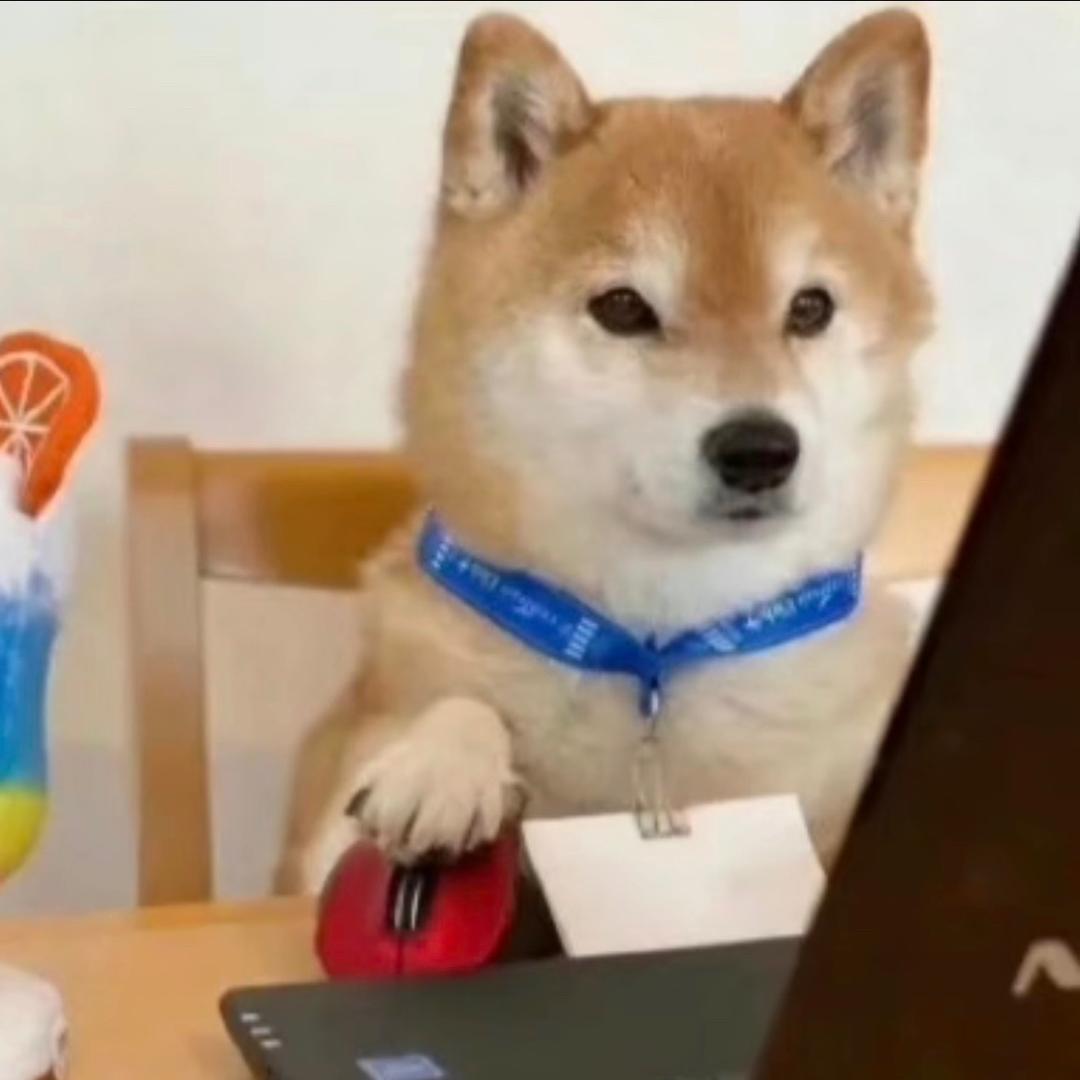 张某人       .