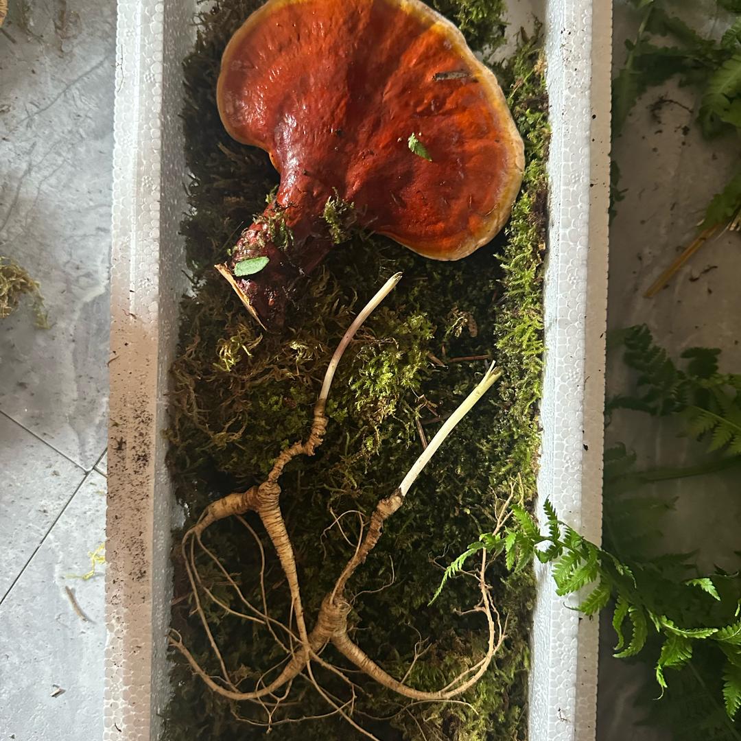 长白山富禾农业特色农产品小铺