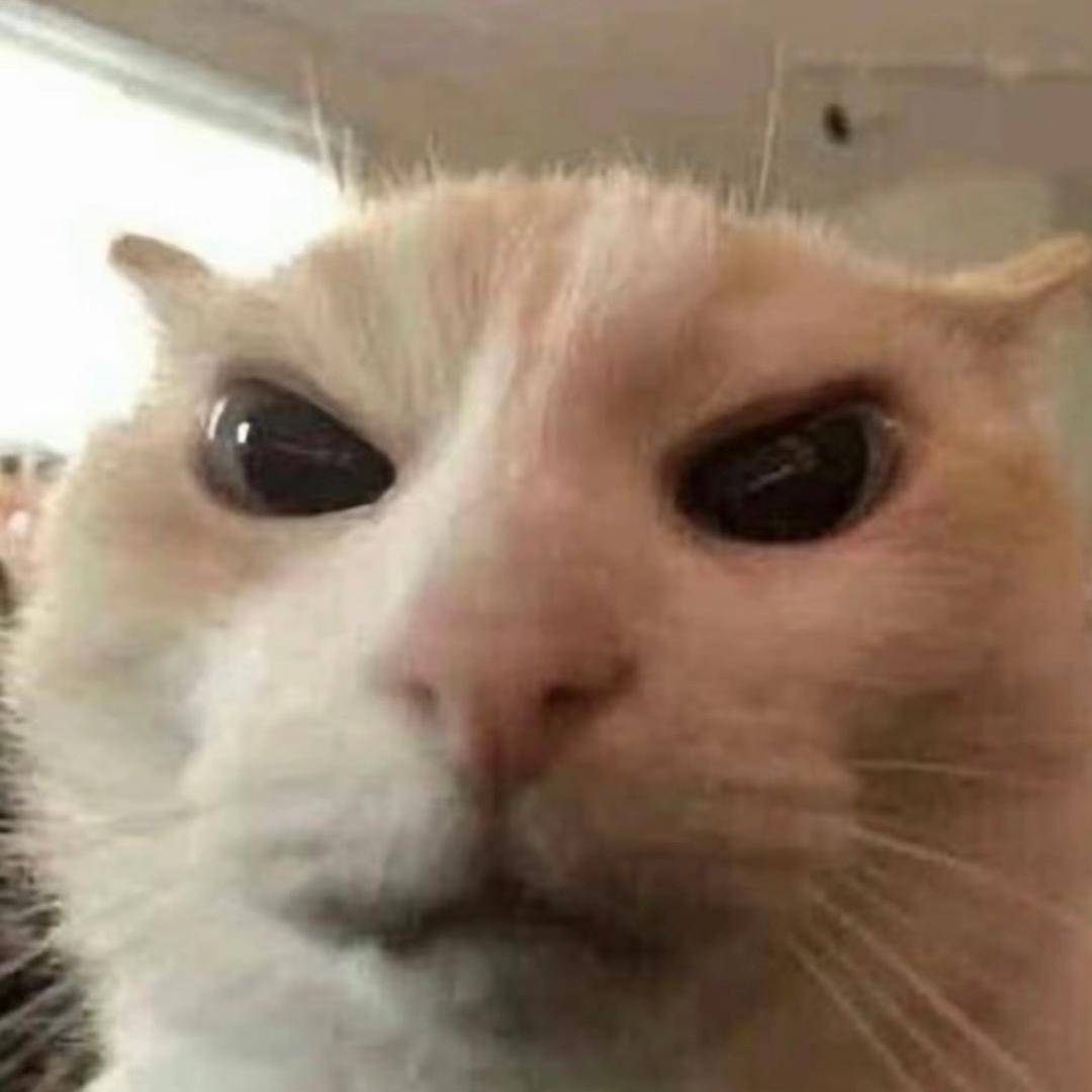 小珂一下