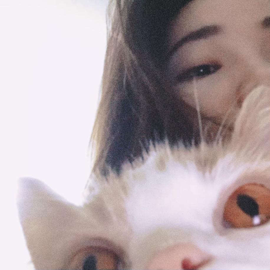 可爱叮-