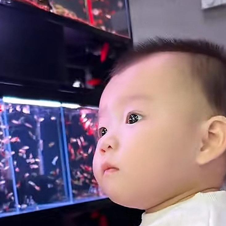 玉面小飞鸽🕊️