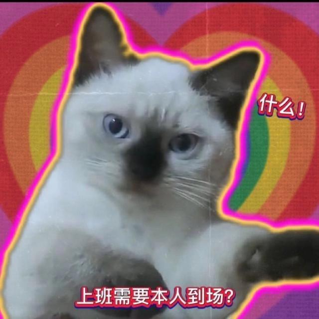 爱打电动的大个儿