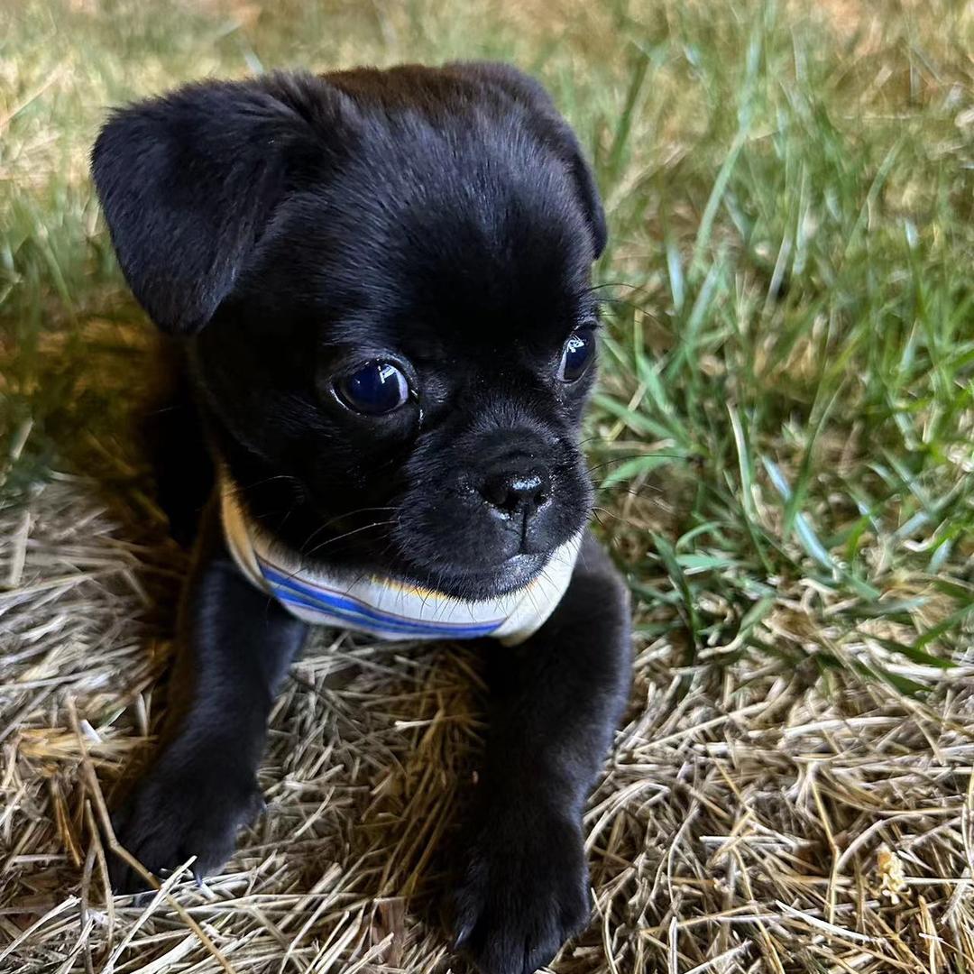 @发财和🀄️的成长日记