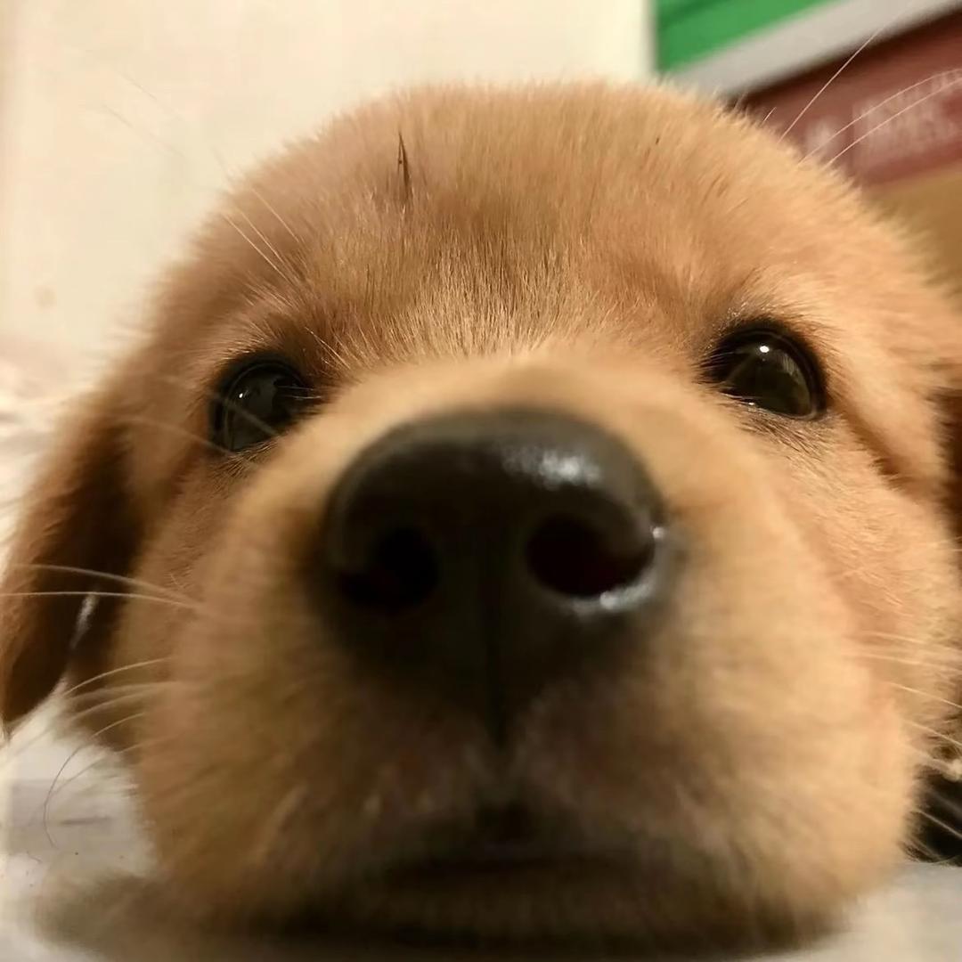 影.