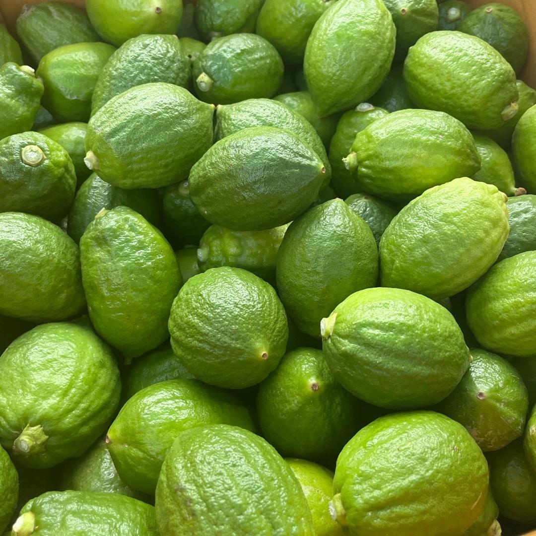柠小檬