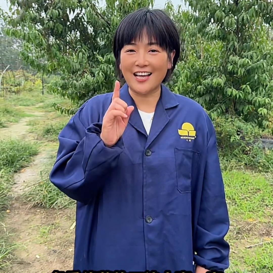 桃子姐妹二姐（陈香）