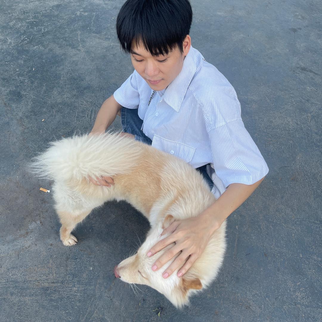 蹦磁达磁