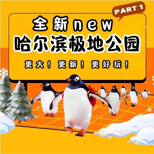 哈尔滨乐乐🐳（双十一预售）
