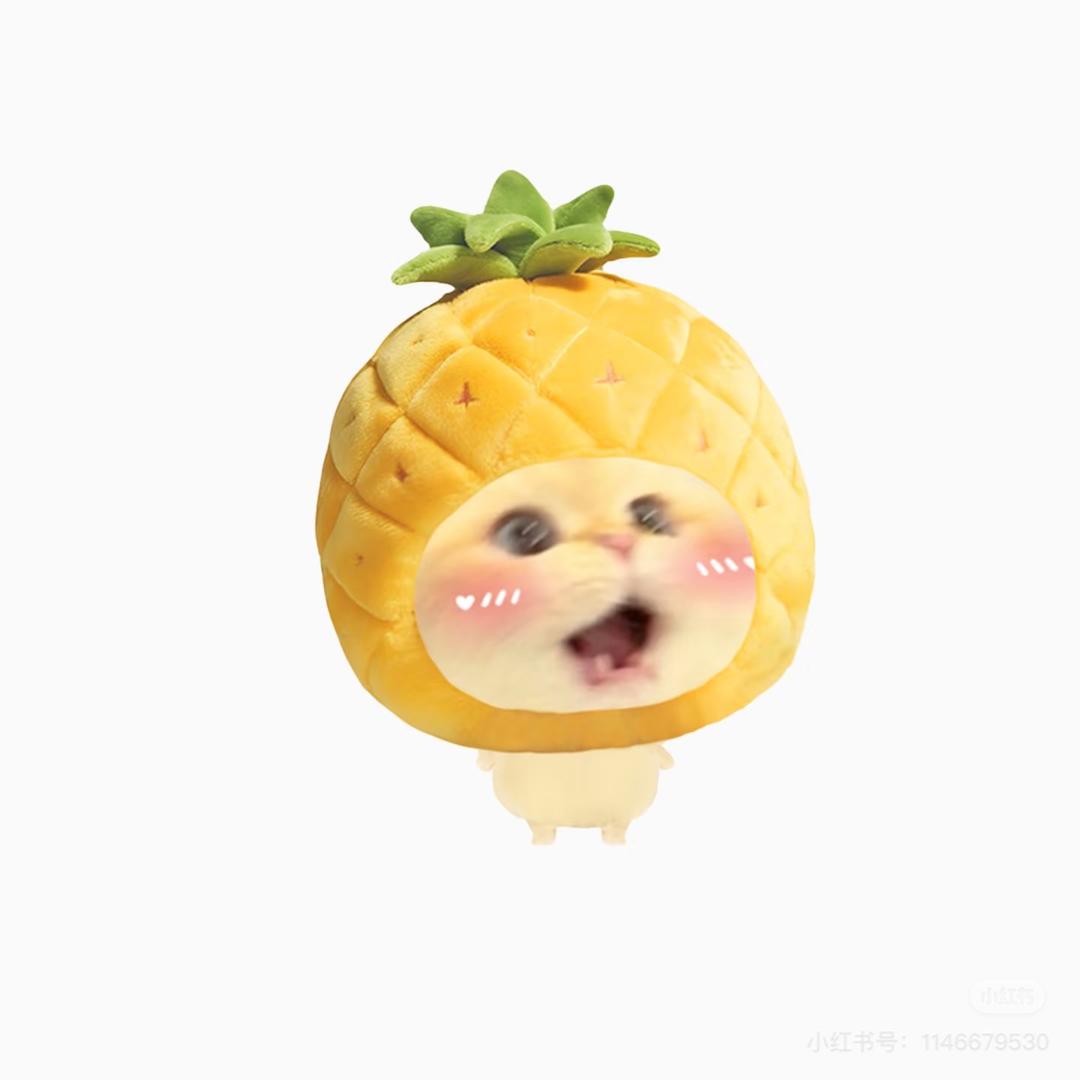 星星s