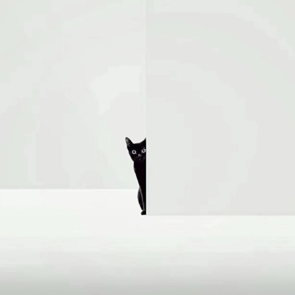 你笨笨的
