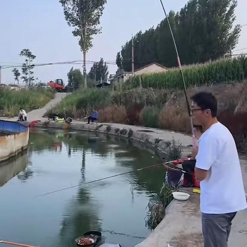 大鱼梦