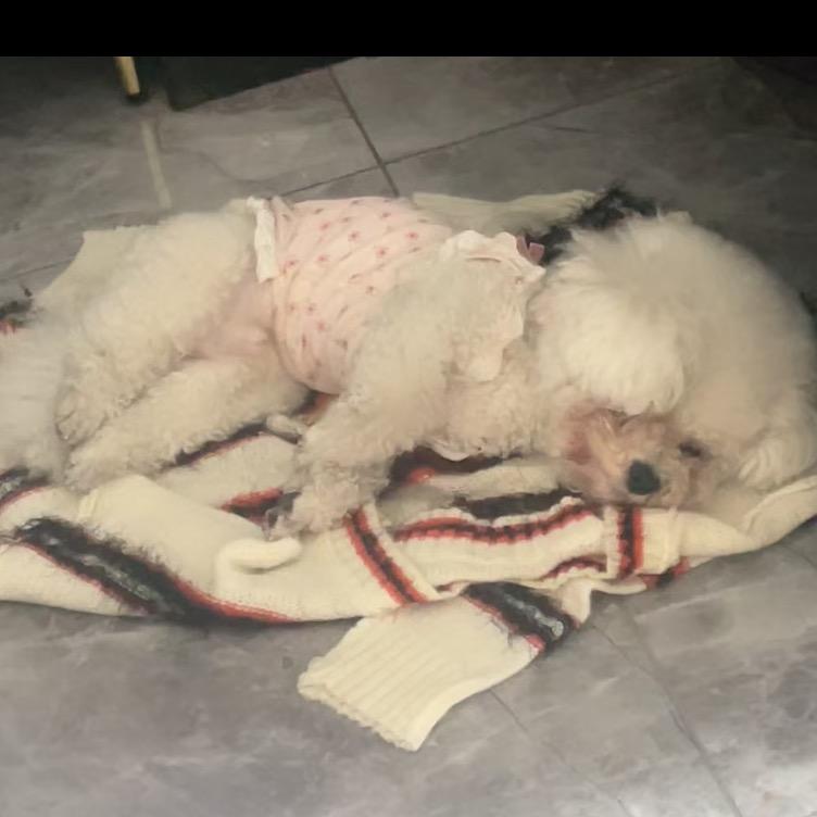 @乐乐的小姨