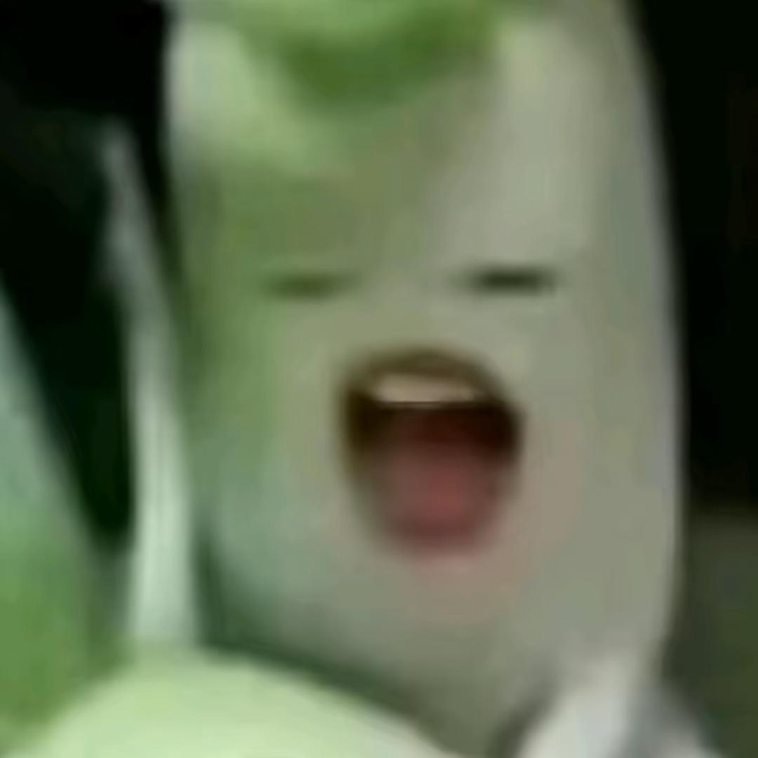 我的世界猫猫雨