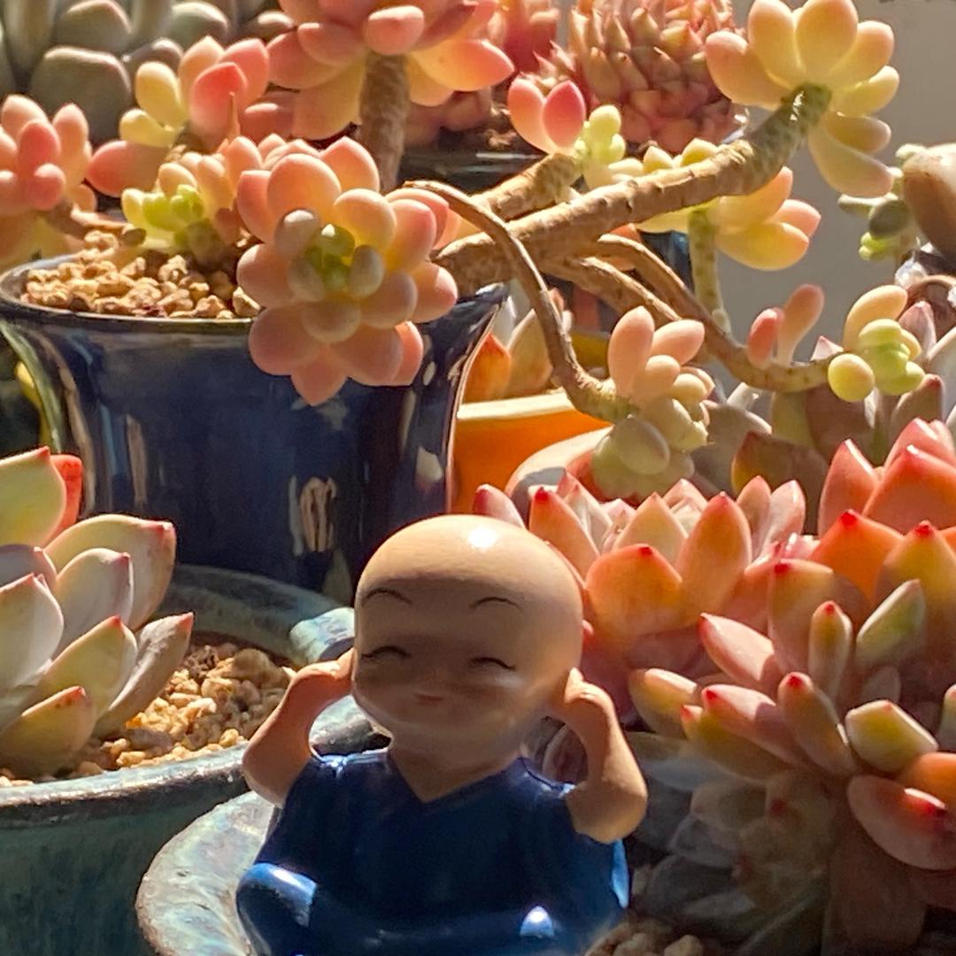 木丛溪
