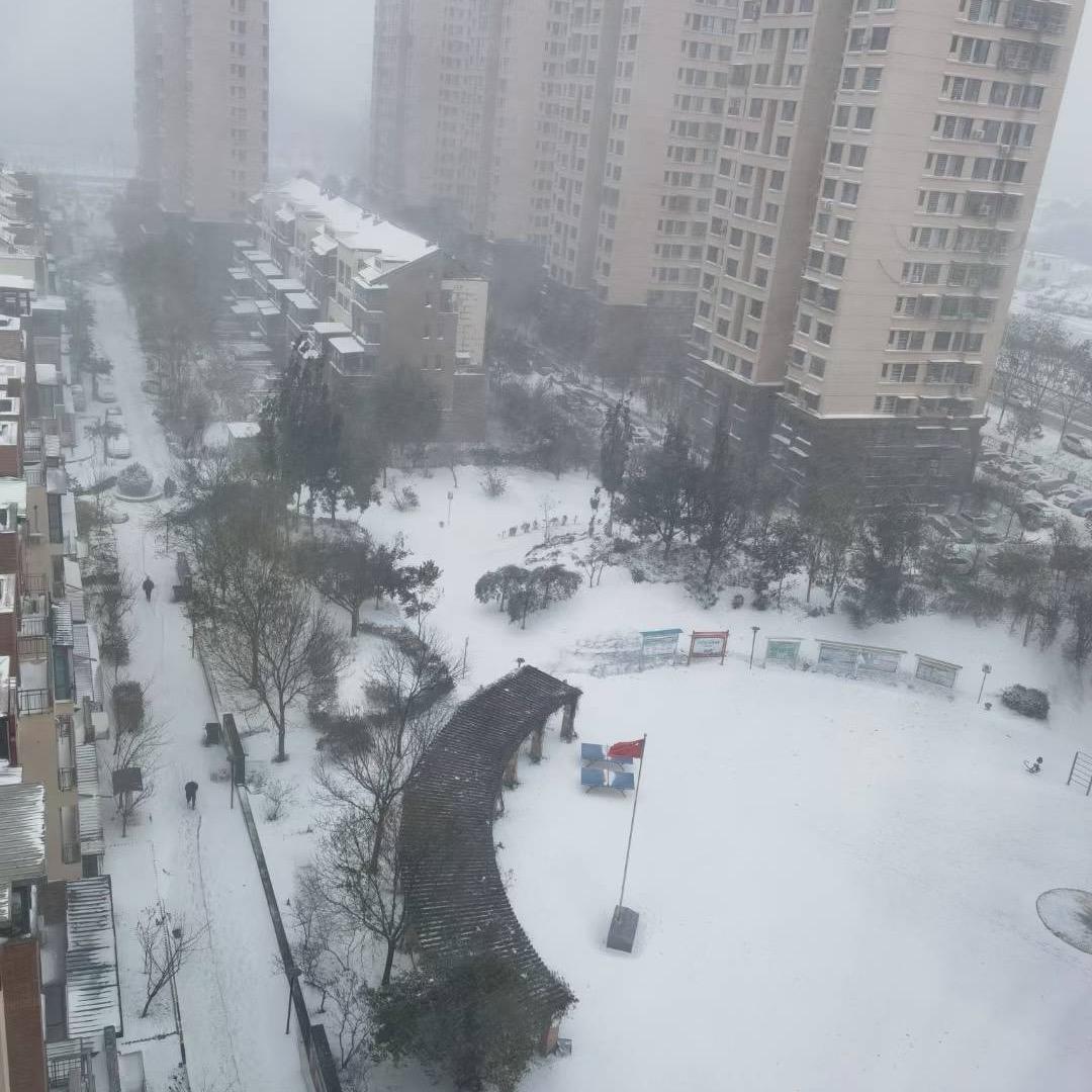 我爱红果头像