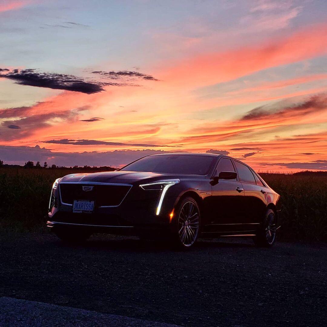 @在衡水的餐饮人