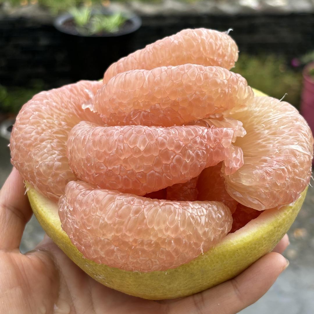仙游烁羽特产馆