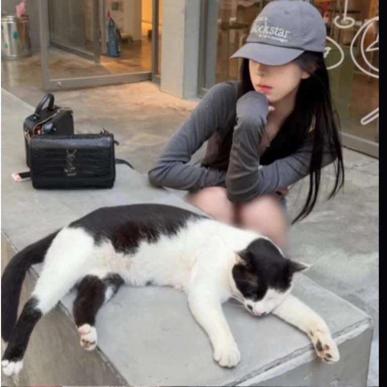 涵涵