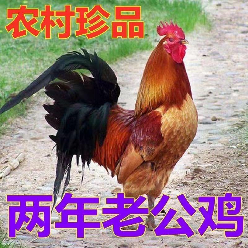 镤