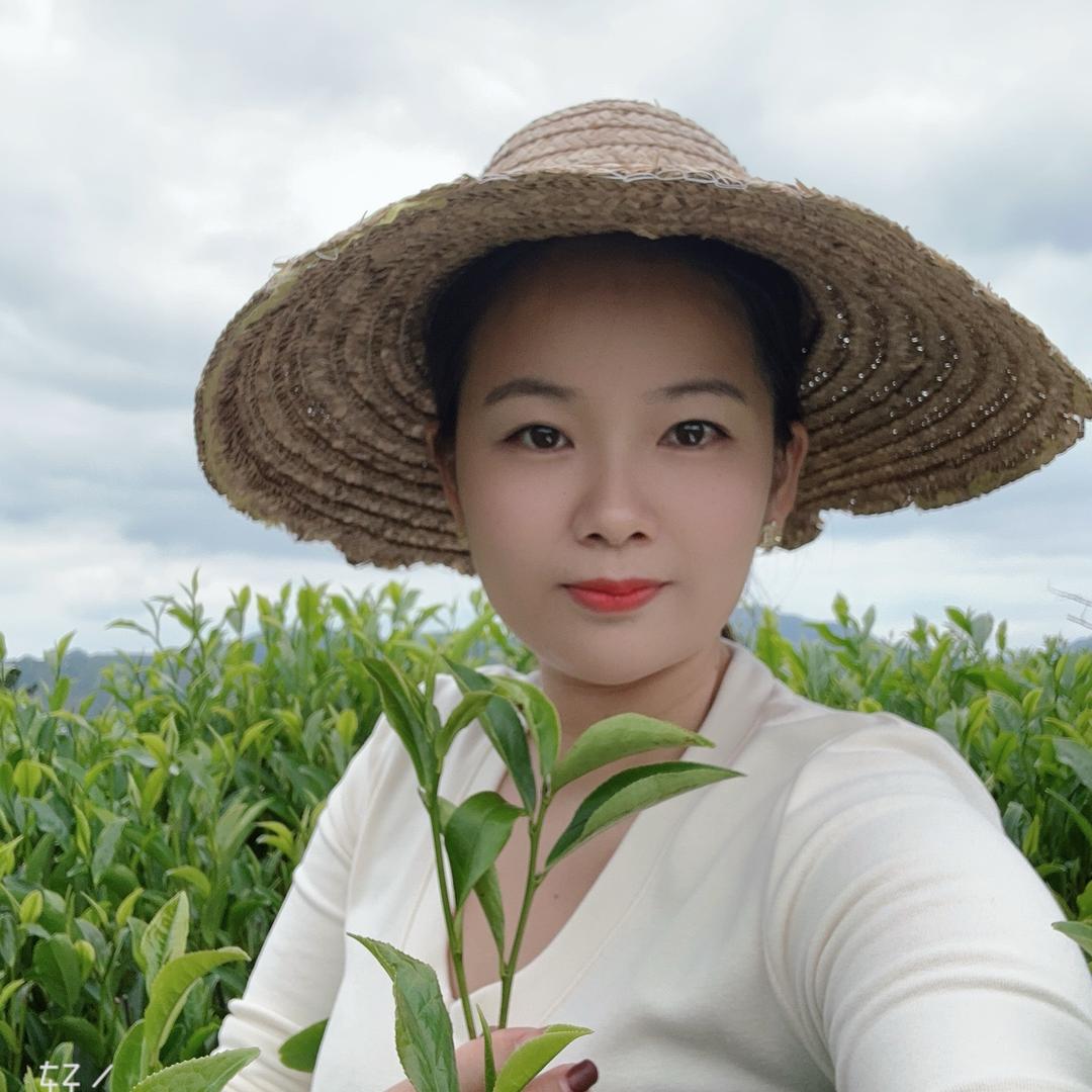 初升茶业～单枞茶
