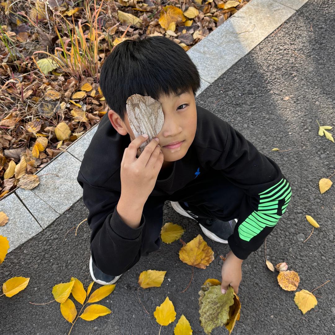 墨凡同学