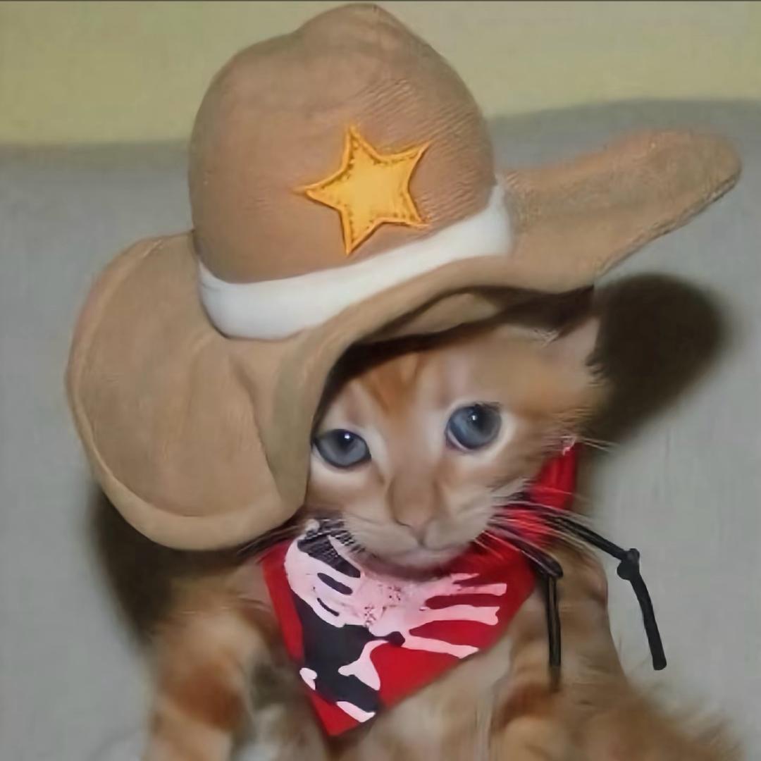 我真的不是小学生