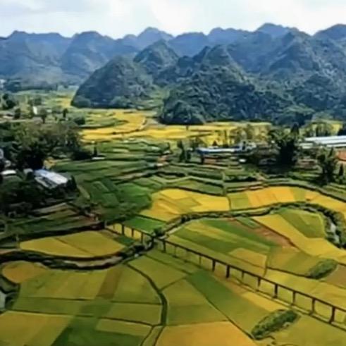 乐游旅行y