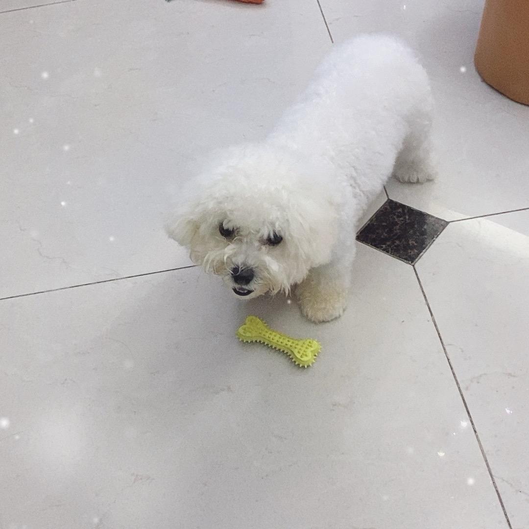煞笔