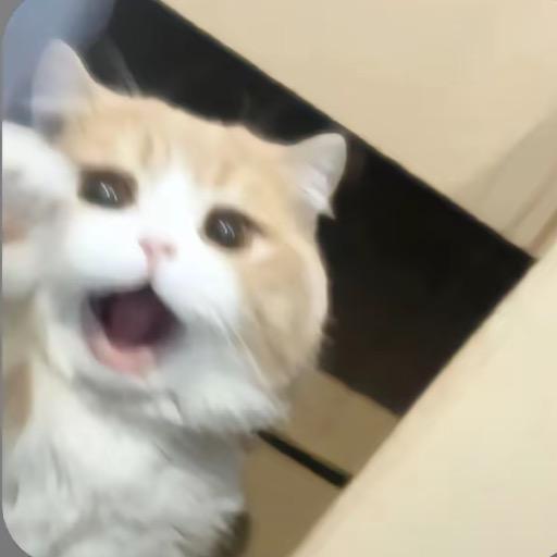 鱼