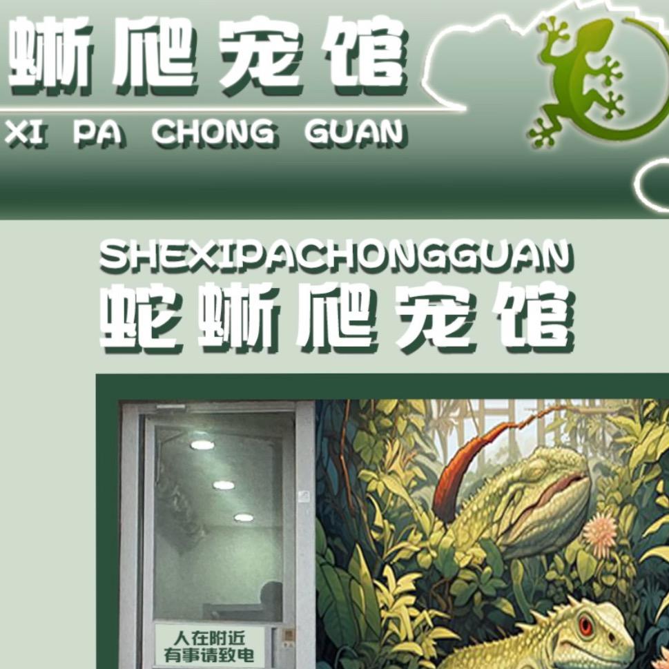 蛇蜥爬宠馆