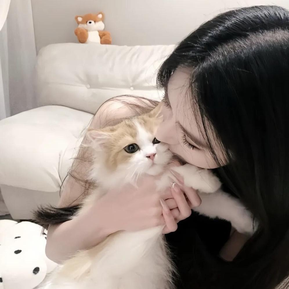 🐰丁可爱
