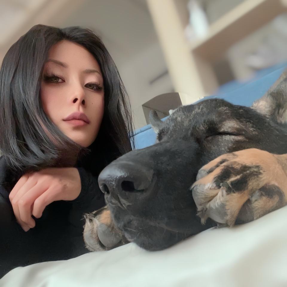 雨哥训犬